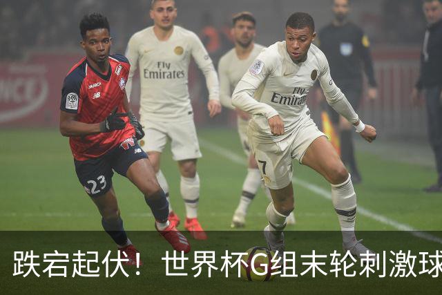 跌宕起伏！世界杯G组末轮刺激球迷心脏 伊朗狂喜过后遭打击